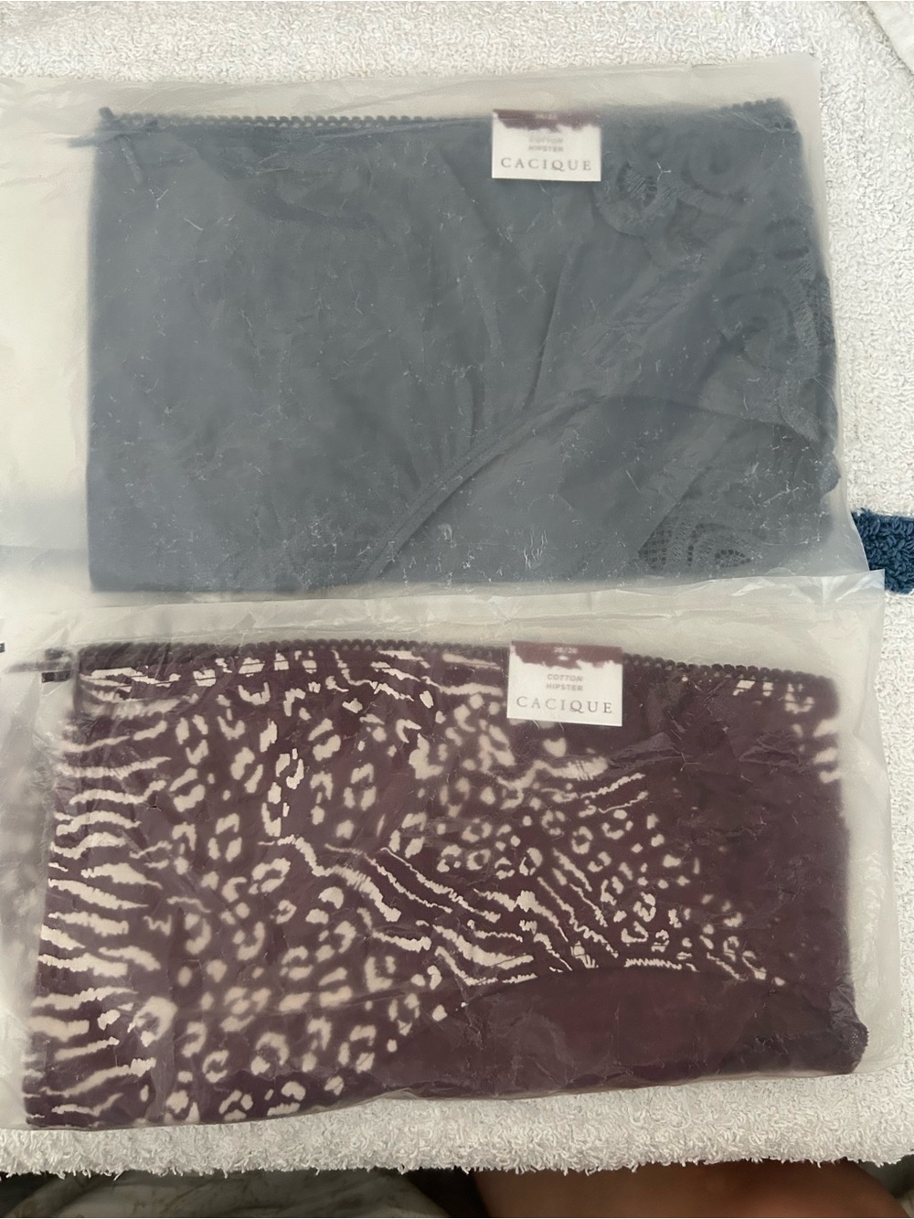 NWT Cacique Lace Hipster Panties - Blue & Burgundy Zebra